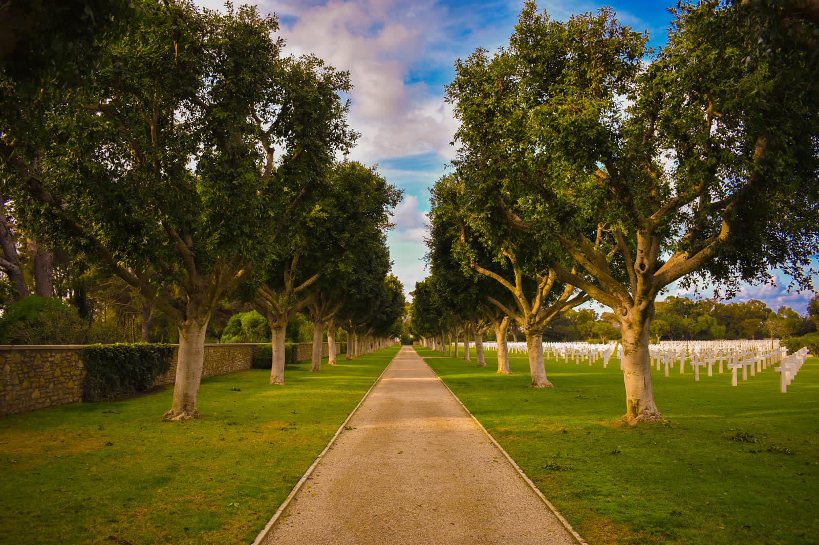 A gravel path running between two rows of old trees, with white grave markers on the grass to the right.